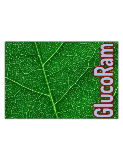 Υγρό Λίπασμα  GlucoRam 1LT